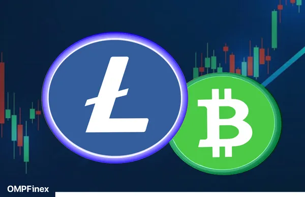 تفاوت بیت کوین کش (BCH) و لایت کوین (LTC): راهنمای جامع مقایسه در ۲۰۲۵