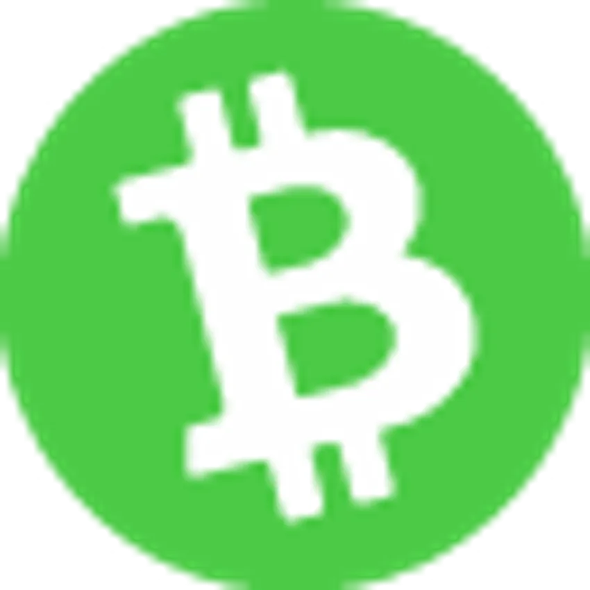 لوگو ارز بیت کوین کش