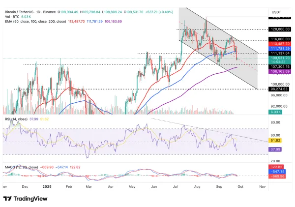فعلا روی حمایتیم! BTC Daily