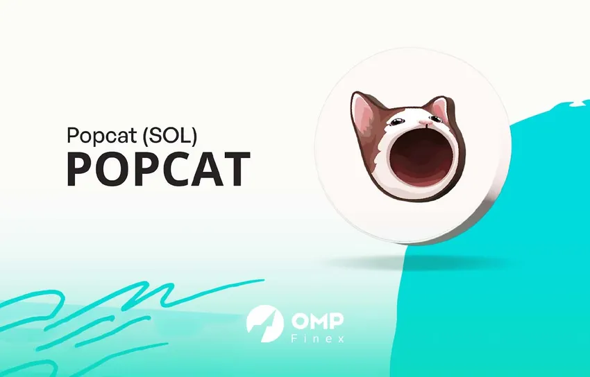 ارز پاپ کت چیست