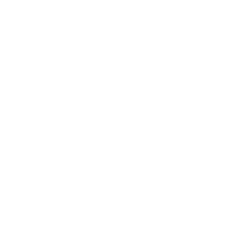 لوگوی ارز سونیک