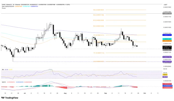 تحلیل ارز شیبا SHIB؛ صعودی یا نزولی؟