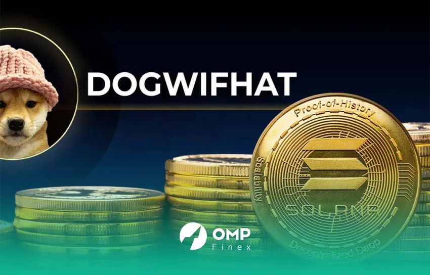 داگ ویف هت چیست؟