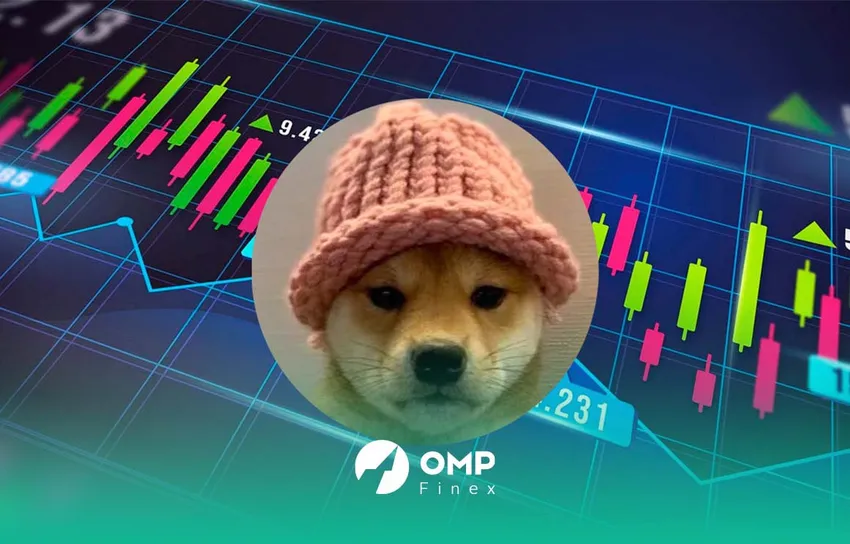 آینده داگ ویف هت WIF